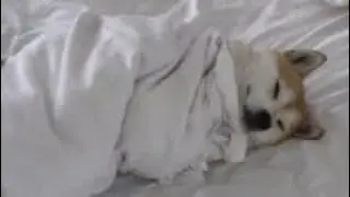 Monday mood