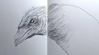 Negative Space and Thumbnail Sketches