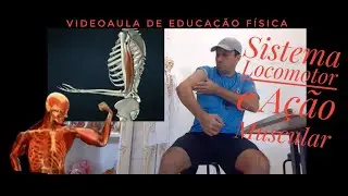 Locomotor System and Muscle Action (Physical Education Video Lesson)