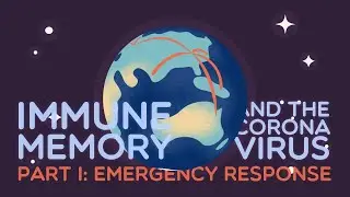 Immune Memory and the Coronavirus Part I: Emergency Response