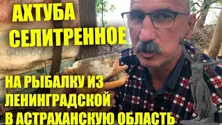 Ахтуба рыбалка дикарями 2020 Селитренное.