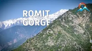 дараи Ромит