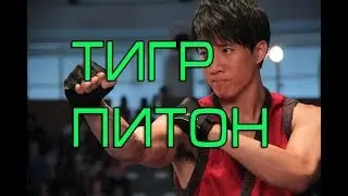 Стиль Тигра и Питона