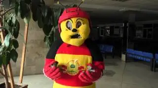 Шмель Жека просит сохранить ХК "Липецк" в ВХЛ