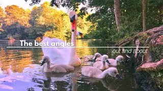 Smartphone Photography | When a smartphone WINS over a DSLR...