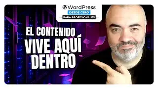 How the DATABASE Works | The Best WordPress Course from Scratch for PROFESSIONALS