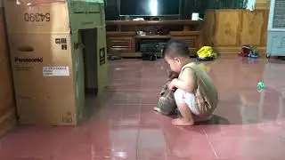 2anh em mèo