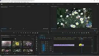 Video editing: Premiere Pro explainer 02 - Sequence video clips and export an mp4 file