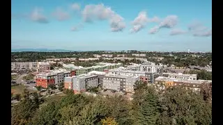 Snyder Market Street 2024