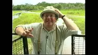 Путешествия натуралиста (НТВ, 2000) Америка. Флорида