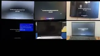  Side by side Guadows xp has bsod 