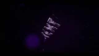 Purple Panzoid Intro Template [Free Download]