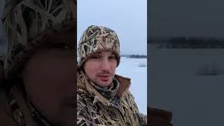 Я в шоке от тепловизора RikaNV 352 Pro