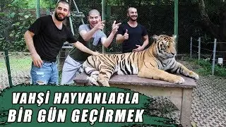 DÜNYANIN EN VAHŞİ HAYVANLARI İLE BİR GÜN GEÇİRDİK! 🇹🇭