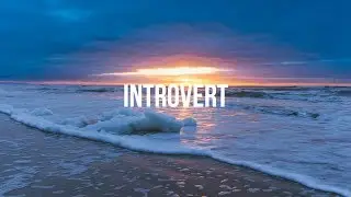 INTROVERT - (Laxcity x Czech Vibes)