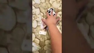 Ну почемуууууу?