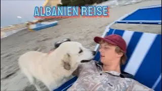 Billig Bude VS Gratis am Strand | Hundefreunde