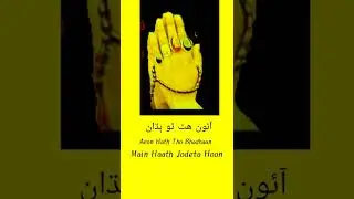 Learn Sindhi Language (Hands Keep) Sindhi to Urdu English Sentence's