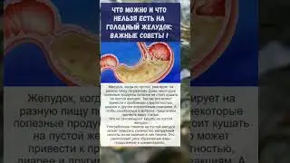 желудок... важно знать  !