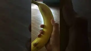 Biggest banana #ohio