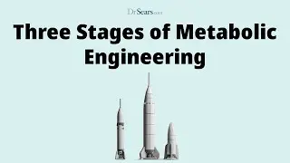 Three Stages of Metabolic Engineering
