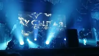 Radio Tapok. Высота 776. Великие Луки 2023