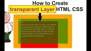 how to create transparent layer using html css  | css opacity with z-index