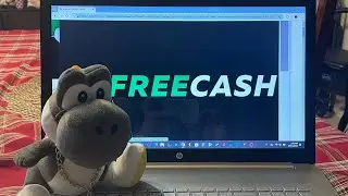 Random adventures: Black yoshi’s get rich quick scheme