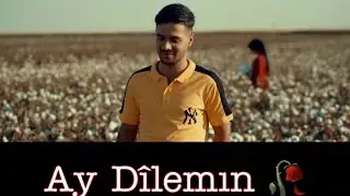 Murat Dağ X Servet Tunç AY DILEMIN  [ OFFİCİAL VİDEO ] (KURDİSH TRAP)