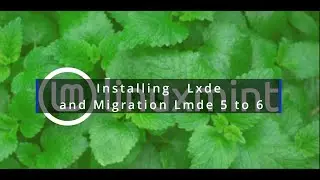Installing Lxde and Migration Lmde 5 to 6