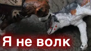 Я НЕ ВОЛК 8 серия 3 сезон // шляйх сериал про Волков