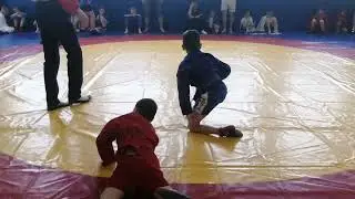 Большой Хомутец Самбо