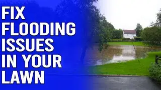 How to Fix Flooding Issues in Your Lawn - 4 Effective Ways to Stop Yard Flooding