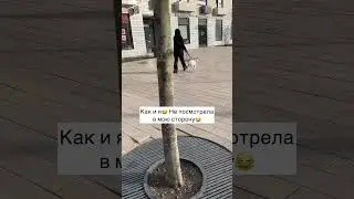 Моя деловая девчонка❤️ Решила «Раз ты не смотришь на меня, значит и я не буду»😂 