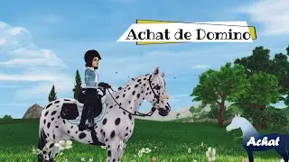 ACHAT D'UN ENIEME APPALOOSA ❤️ | STAR STABLE
