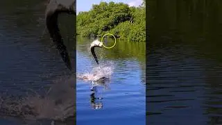 You're not a bad fisherman... #flyfishing #onthefly #fishing