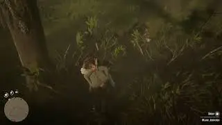 Red Dead Redemption 2: It's raining horses!