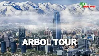 ARBOL TOUR