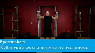 Кубинский жим или пугало с гантелями