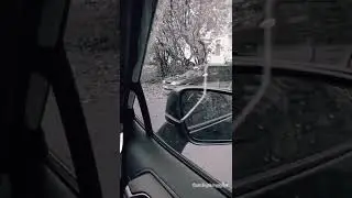 DVIZHENIYA