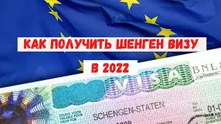 Визы шенген в 2022 году. Как получить шенген визу
