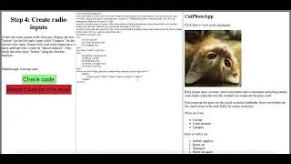 Building Cat Photo App (Part 2)