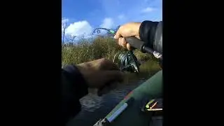 Вкусный Воблер?