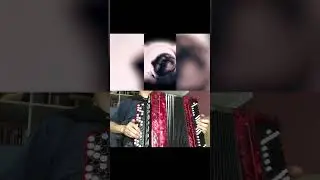 педро педро енот танцует