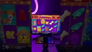 КУПИЛ БОНУСКУ В THE DOG HOUSE MEGAWAYS #shorts  #слоты #slot #casino #win #занос #заносынедели