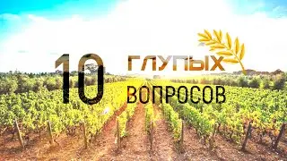 10 ГЛУПЫХ ВОПРОСОВ БОЙЦУ СТУДЕНЧЕСКОГО СЕЛЬСКОХОЗЯЙСТВЕННОГО ОТРЯДА