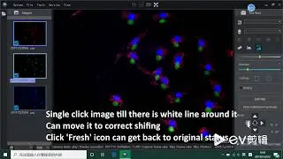 How to merge fluorescence imaging channels?