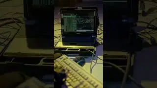 C| C++ programming tutorial | tutorial computer science in hindi