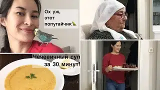 СЕРЬЕЗНАЯ ТУРЕЦКАЯ СВЕКРОВЬ🤨ОБЯЗАННОСТИ МЛАДШЕЙ НЕВЕСТКИ😄РЕЦЕПТ ЧЕЧЕВИЧНОГО СУПА/MERCİMEK ÇORBASI