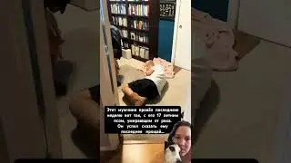 Цените каждый миг...❤️‍🩹Преданность до самого конца 